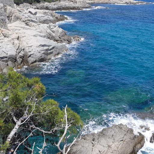 Eine felsige Küstenlandschaft mit mediterraner Vegetation, die an ein tiefblaues Meer grenzt, wo Wellen brechen.