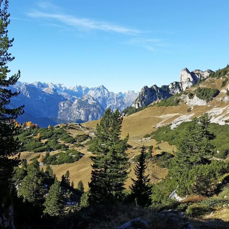 Panoramablick über eine bewaldete Berghanglandschaft auf eine majestätische Alpenkette.