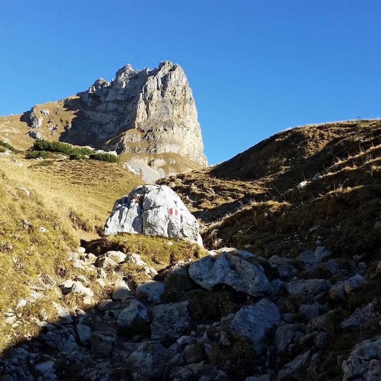 Panoramaaufnahme einer alpinen Landschaft mit zerklüfteten Felsgipfeln, grünen Hängen und blauem Himmel.