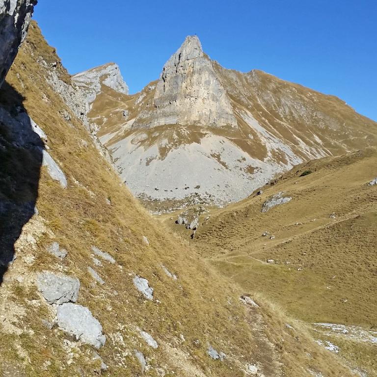 Ein dramatischer Blick auf ein Gebirge mit steilen Felswänden, einem markanten Gipfel und einem Vordergrund aus alpinen Hängen.