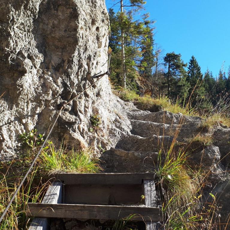 Ein Wanderweg führt über einen steilen Hang hinauf, begrenzt durch eine hohe Felswand und einen dichten Nadelwald.