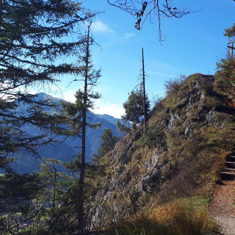 Ein Wanderweg steigt steil entlang einer grasbewachsenen Böschung an und ist von hohen Nadelbäumen und Blick auf die Berge umgeben.
