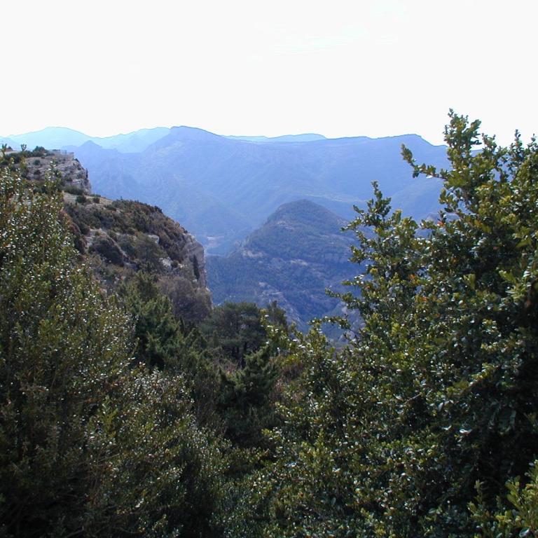 Panoramablick über dichte grüne Wälder und bläuliche, bergige Horizonte.