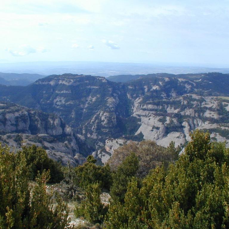 Panoramablick über eine weite, hügelige Landschaft mit sichtbaren Tafelbergen und dichtem Vorwald im Vordergrund.