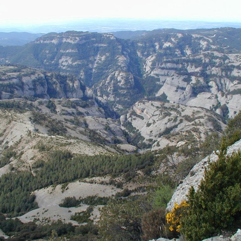 Weitwinkelaufnahme eines zerklüfteten Gebirgspanoramas mit tiefen Tälern und Waldflächen