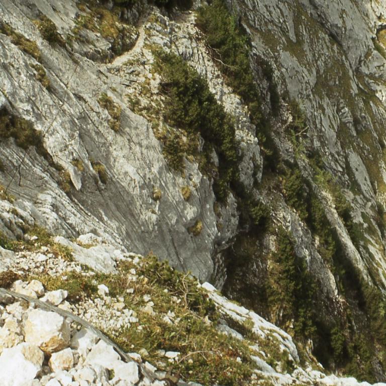 Steile Bergflanke mit felsigem Vordergrund und dunklem, bewaldetem Abgrund.