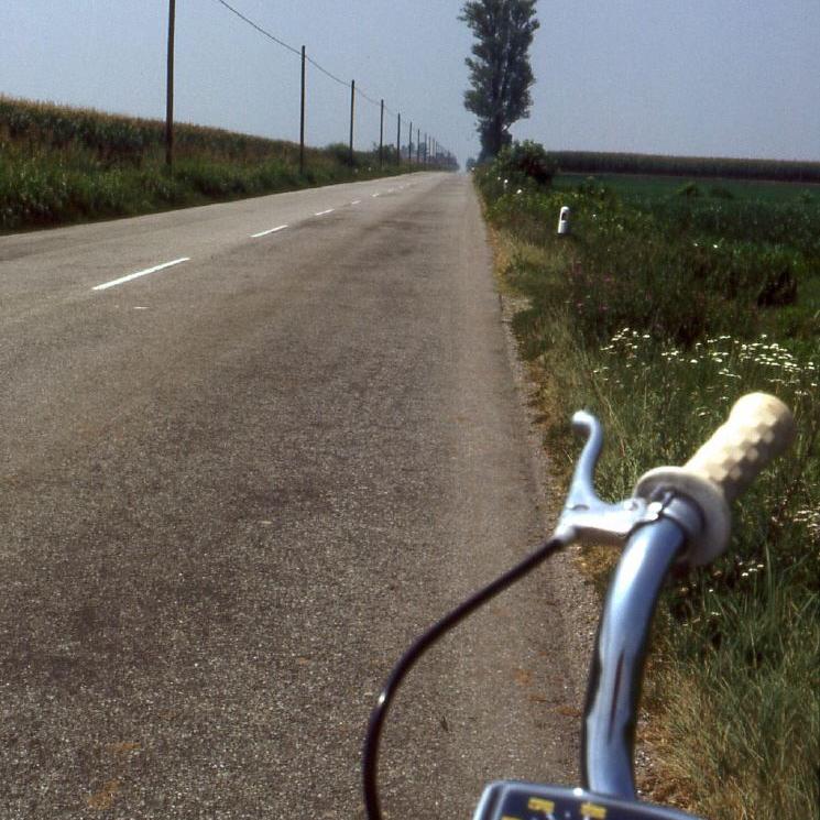 Der Lenker eines Motorrads im Vordergrund blickt auf eine gerade, sonnige Landstraße mit Feldern und Stromleitungen.