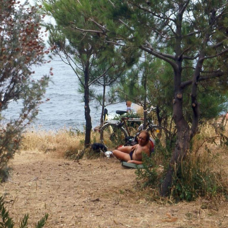 Eine Person liegt in der Sonne unter Bäumen mit Blick auf das Meer.