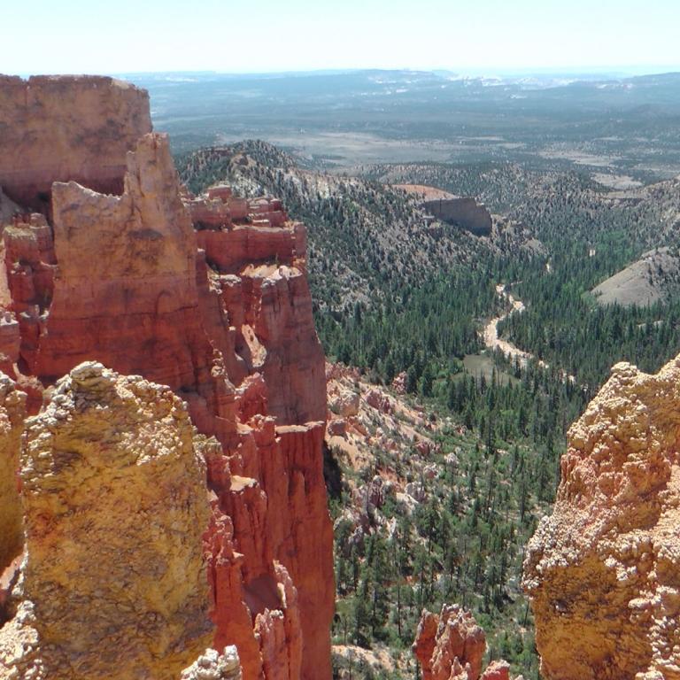 Panoramablick von steil abfallenden, rotbraunen Klippen über ein weitläufiges Waldgebiet und ein Canyon-Tal.