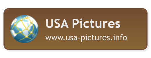 USA Pictures